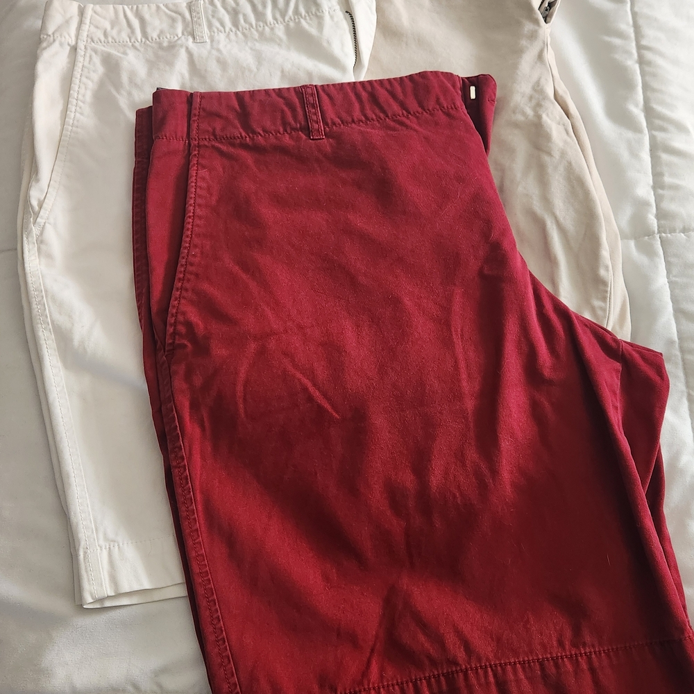 GAP 3 Pair Women's Bermuda Shorts